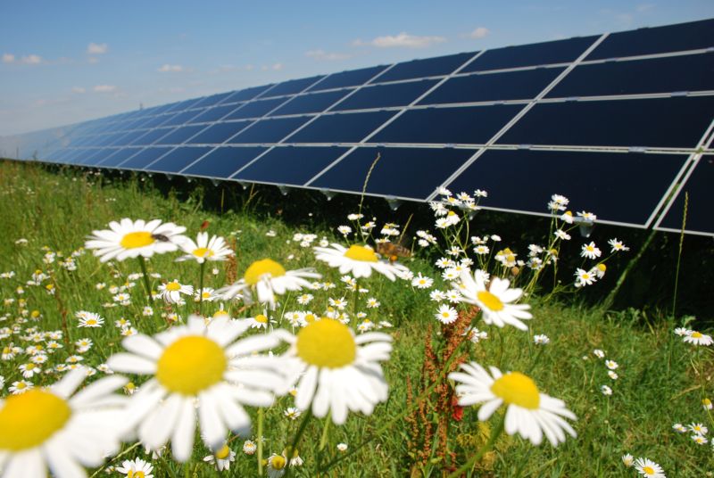 Particulieren kunnen BTW terugvragen over aanschaf zonnepanelen