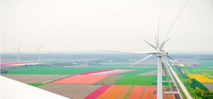 Nuon tekent contracten voor windpark Wieringermeer