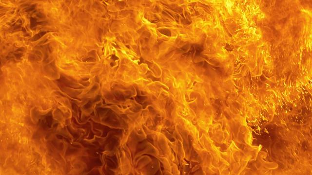 Dieren verbrand bij brand woonzorgboerderij Slootdorp