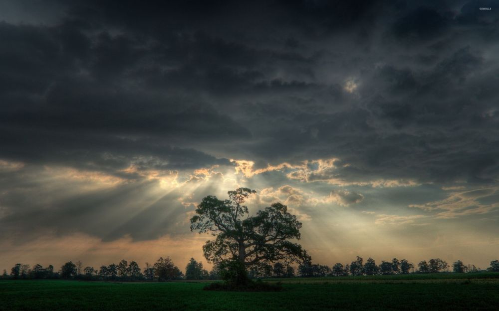 Weerbericht Hollands Kroon: bewolkte start, later wat ruimte voor de zon