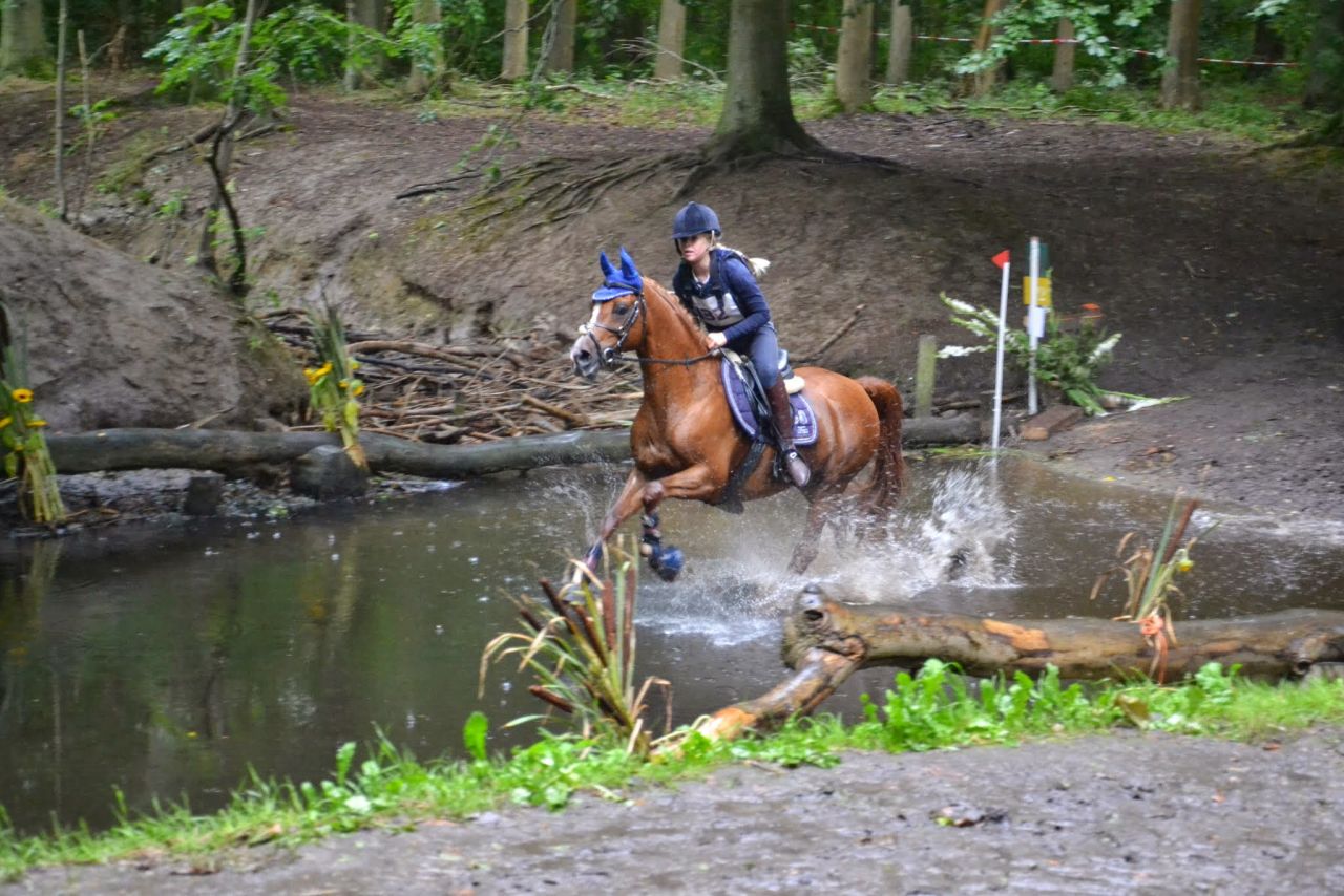 Spectaculaire paardenwedstrijd SGW Dijkgatbos is terug in het bos