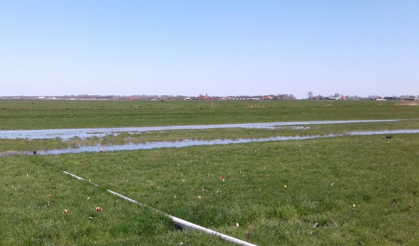 Boeren zetten vanaf half februari land tijdelijk onder water voor de weidevogels.