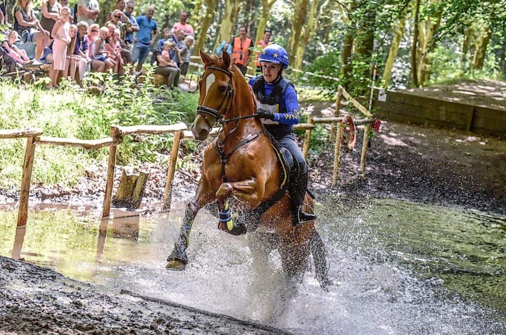 Spectaculaire paardenwedstrijd SGW Dijkgatbos