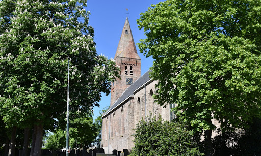 Oud-burgemeester Titia Lont geeft Benefietconcert  voor de restauratie van het Knipscheerorgel Hippolytuskerk