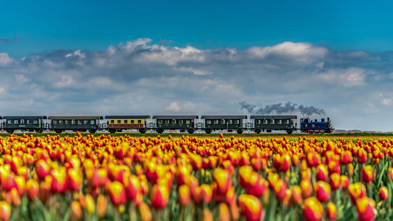 #deeljouwtulp’ fotowedstrijd Holland boven Amsterdam