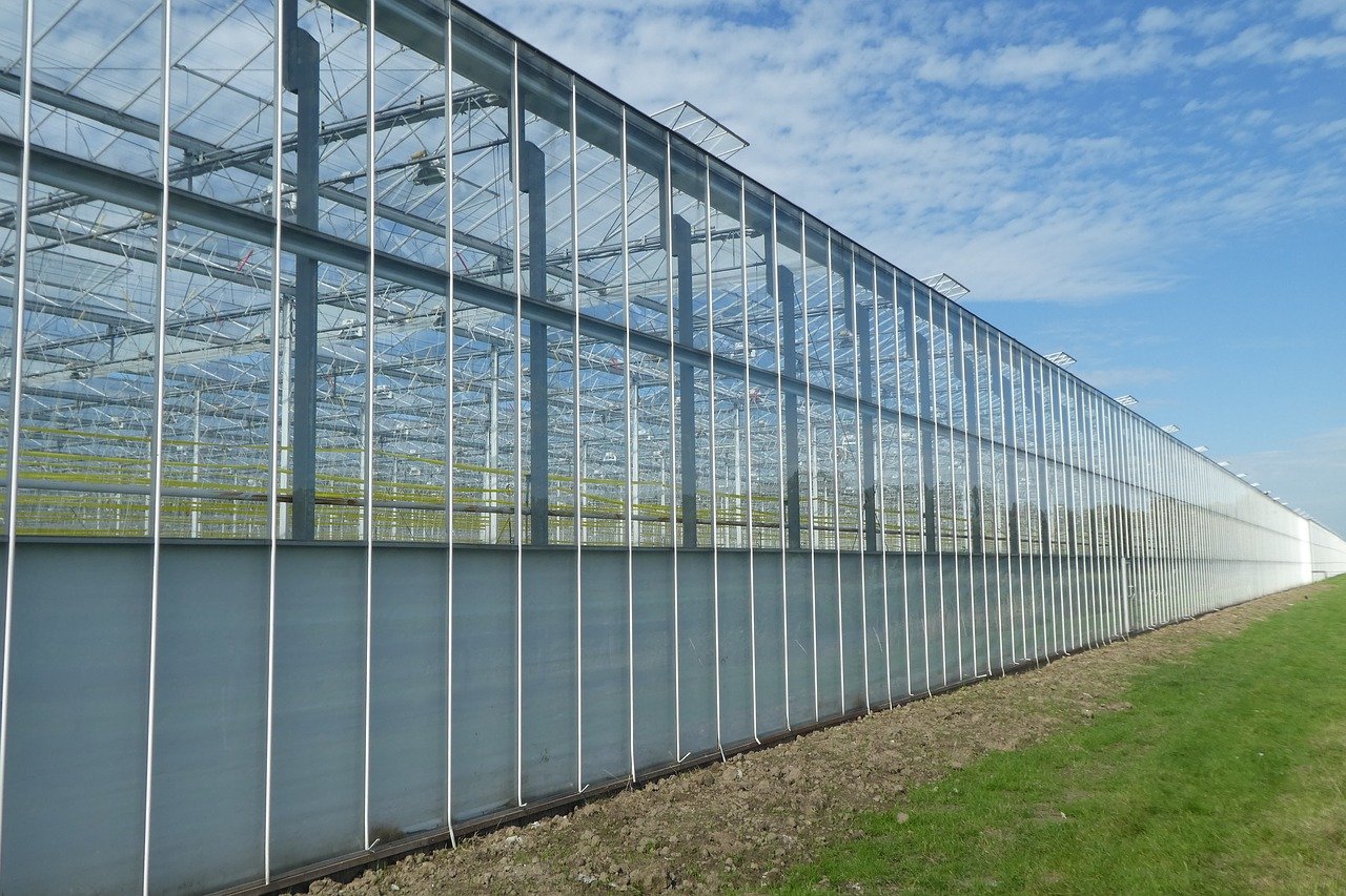Glastuinbouw kan energietransitie impuls geven, maar randvoorwaarden zijn bepalen
