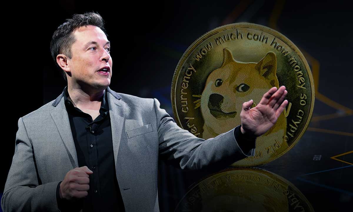 Elonmusk dogecoin